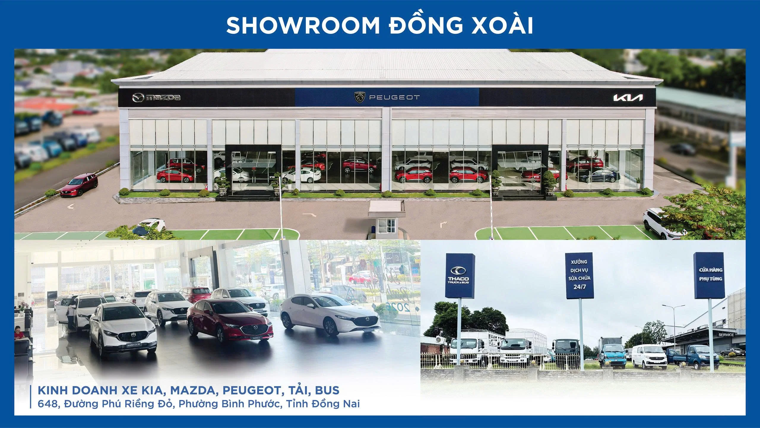 dong-xoai.webp